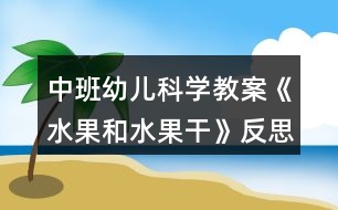 中班幼兒科學(xué)教案《水果和水果干》反思