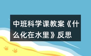 中班科學(xué)課教案《什么化在水里》反思