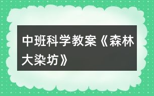 中班科學(xué)教案《森林大染坊》