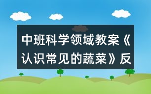 中班科學(xué)領(lǐng)域教案《認識常見的蔬菜》反思