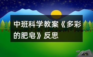 中班科學(xué)教案《多彩的肥皂》反思