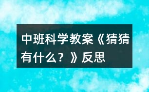 中班科學(xué)教案《猜猜有什么？》反思