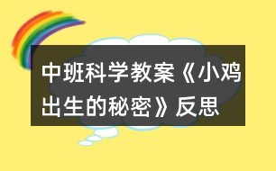 中班科學教案《小雞出生的秘密》反思