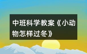 中班科學(xué)教案《小動(dòng)物怎樣過(guò)冬》