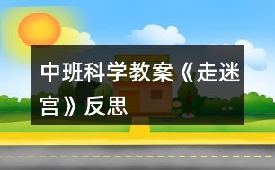 中班科學(xué)教案《走迷宮》反思