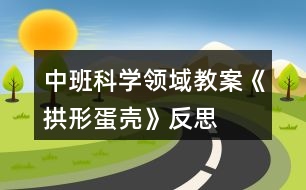 中班科學(xué)領(lǐng)域教案《拱形蛋殼》反思