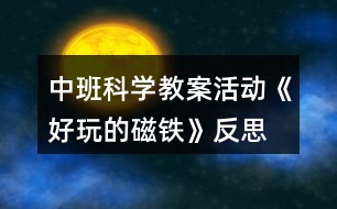 中班科學(xué)教案活動《好玩的磁鐵》反思