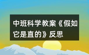 中班科學(xué)教案《假如它是直的》反思