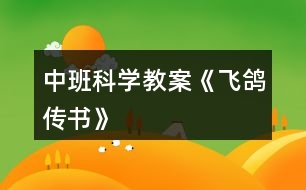 中班科學(xué)教案《飛鴿傳書》