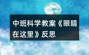 中班科學(xué)教案《眼睛在這里》反思