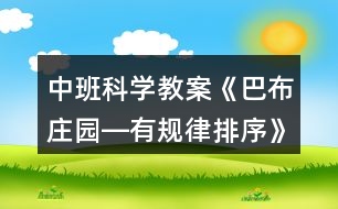 中班科學(xué)教案《巴布莊園―有規(guī)律排序》反思