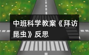 中班科學教案《拜訪昆蟲》反思