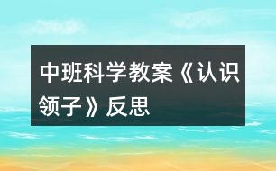 中班科學(xué)教案《認(rèn)識領(lǐng)子》反思