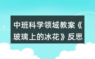 中班科學(xué)領(lǐng)域教案《玻璃上的冰花》反思