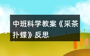 中班科學教案《采茶撲蝶》反思