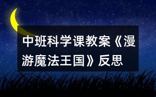 中班科學(xué)課教案《漫游魔法王國》反思