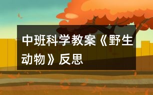 中班科學(xué)教案《野生動物》反思