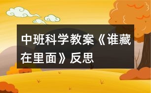 中班科學教案《誰藏在里面》反思