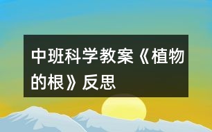 中班科學教案《植物的根》反思