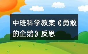 中班科學(xué)教案《勇敢的企鵝》反思