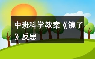 中班科學教案《鏡子》反思