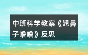 中班科學(xué)教案《翹鼻子嚕嚕》反思