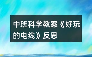 中班科學(xué)教案《好玩的電線(xiàn)》反思