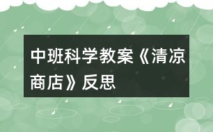 中班科學教案《清涼商店》反思