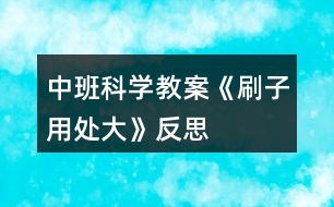 中班科學教案《刷子用處大》反思