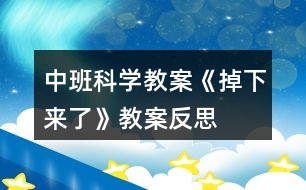 中班科學(xué)教案《掉下來了》教案反思