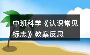 中班科學《認識常見標志》教案反思