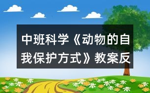 中班科學(xué)《動物的自我保護方式》教案反思