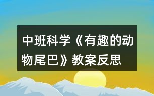 中班科學(xué)《有趣的動(dòng)物尾巴》教案反思