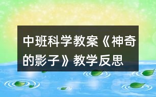 中班科學教案《神奇的影子》教學反思