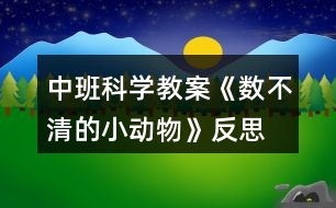 中班科學(xué)教案《數(shù)不清的小動(dòng)物》反思