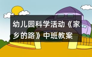 幼兒園科學(xué)活動《家鄉(xiāng)的路》中班教案