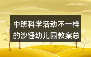 中班科學活動不一樣的沙錘幼兒園教案總結(jié)