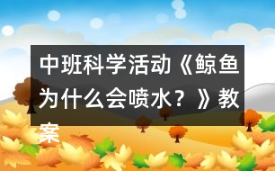 中班科學活動《鯨魚為什么會噴水？》教案