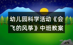 幼兒園科學(xué)活動(dòng)《會(huì)飛的風(fēng)箏》中班教案反思