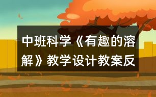 中班科學《有趣的溶解》教學設計教案反思