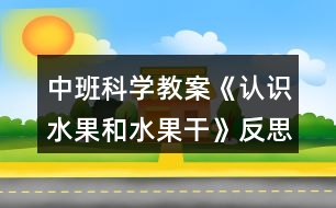 中班科學教案《認識水果和水果干》反思