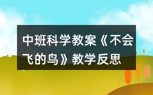 中班科學(xué)教案《不會飛的鳥》教學(xué)反思