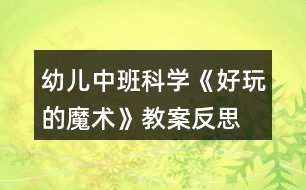 幼兒中班科學《好玩的魔術(shù)》教案反思