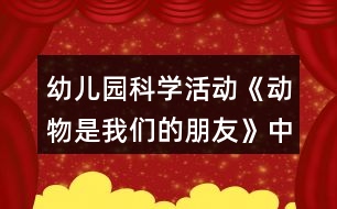 幼兒園科學(xué)活動(dòng)《動(dòng)物是我們的朋友》中班教案