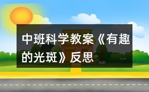 中班科學(xué)教案《有趣的光斑》反思