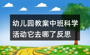 幼兒園教案中班科學(xué)活動它去哪了反思