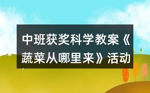 中班獲獎(jiǎng)科學(xué)教案《蔬菜從哪里來》活動(dòng)反思