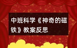 中班科學(xué)《神奇的磁鐵》教案反思