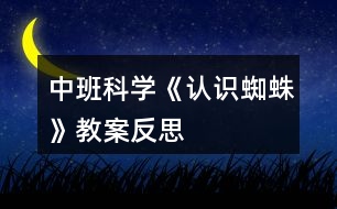 中班科學《認識蜘蛛》教案反思