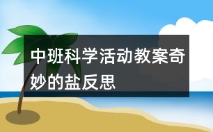 中班科學(xué)活動教案奇妙的鹽反思